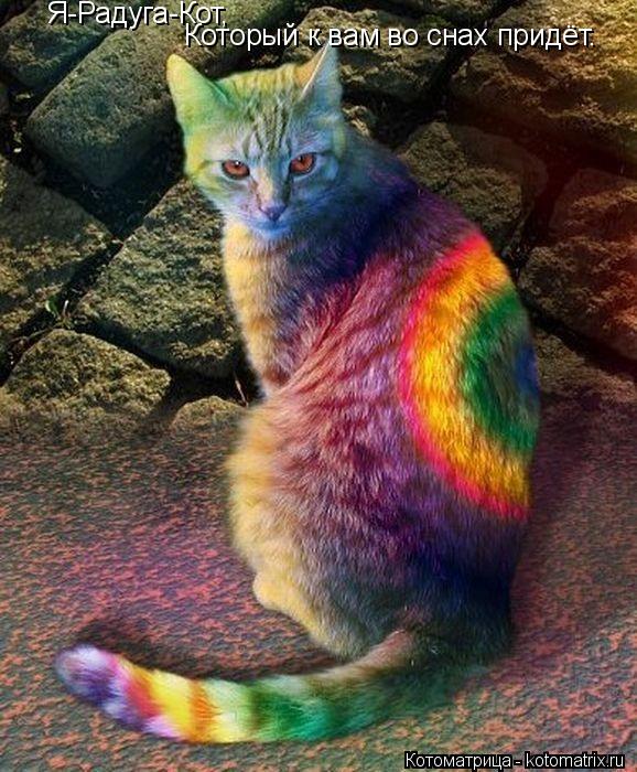 Котоматрица: Я-Радуга-Кот, Который к вам во снах придёт.