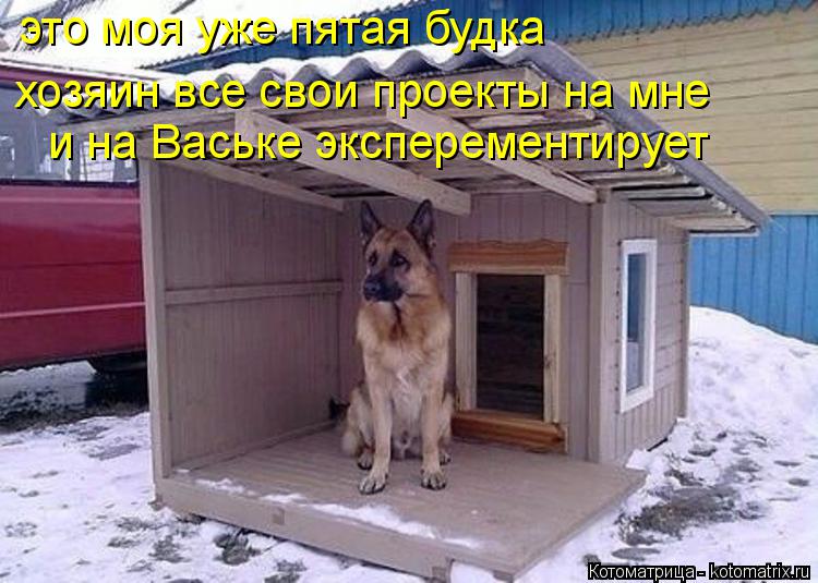 это моя уже пятая будка хозяин все свои проекты на мне и на Ваське эксперементирует... Котоматрица: это моя уже пятая будка хозяин все свои проекты на мне и на Ваське эксперементирует