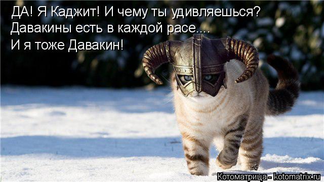 ДА! Я Каджит! И чему ты удивляешься? Давакины есть в каждой расе.... И я тоже Давакин!... Котоматрица: ДА! Я Каджит! И чему ты удивляешься? Давакины есть в каждой расе.... И я тоже Давакин!