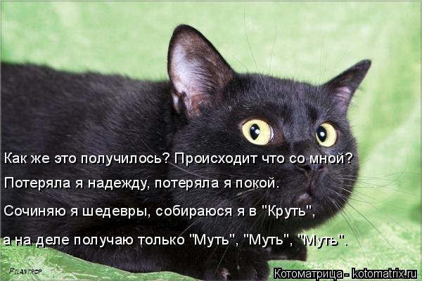 Сочиняю я шедевры, собираюся я в "Круть", а на деле получаю только "Муть", "Муть", "Муть". Как же это... Котоматрица: Сочиняю я шедевры, собираюся я в "Круть", а на деле получаю только "Муть", "Муть", "Муть". Как же это получилось? Происходит что со мной? Потеряла