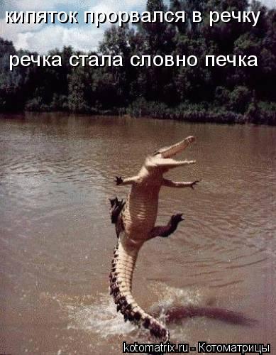 кипяток прорвался в речку речка стала словно печка... Котоматрица: кипяток прорвался в речку речка стала словно печка