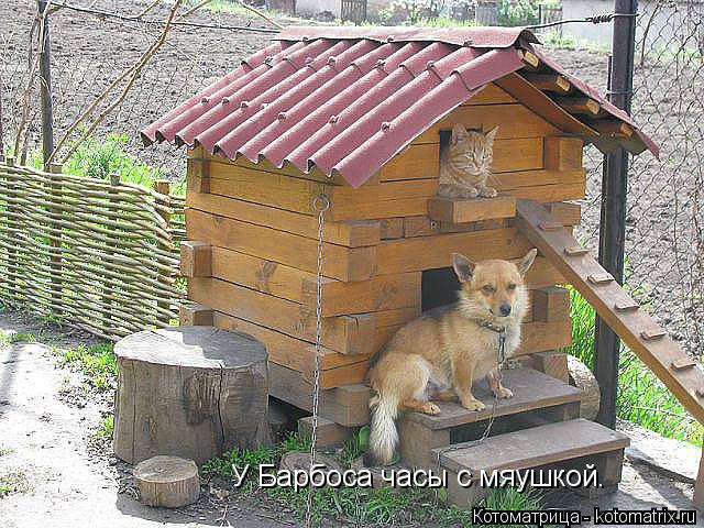 Котоматрица: У Барбоса часы с мяушкой.