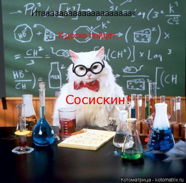 Котоматрица: Итаааааааааааааааааааак... К доске пойдёт... Сосискин!