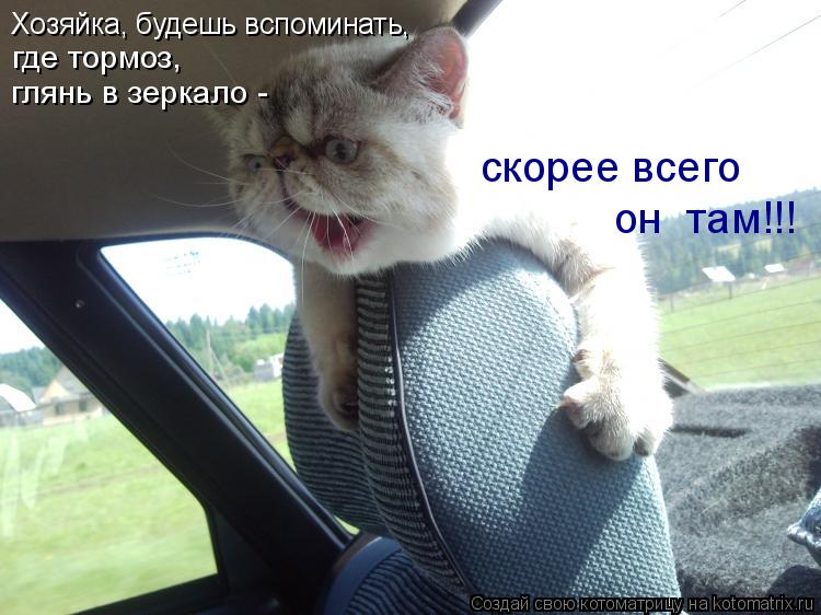 Котоматрица: Хозяйка, будешь вспоминать,  где тормоз, глянь в зеркало -  скорее всего он  там!!!