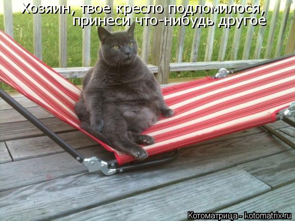 принеси что-нибудь другое Хозяин, твое кресло подломилося,... Котоматрица: принеси что-нибудь другое Хозяин, твое кресло подломилося,
