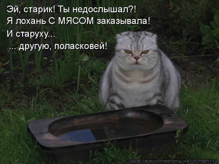 Котоматрица: Я лохань С МЯСОМ заказывала! Эй, старик! Ты недослышал?! И старуху...  ... другую, поласковей!