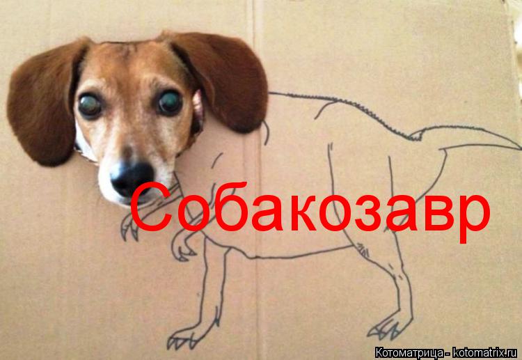 Собакозавр... Котоматрица: Собакозавр