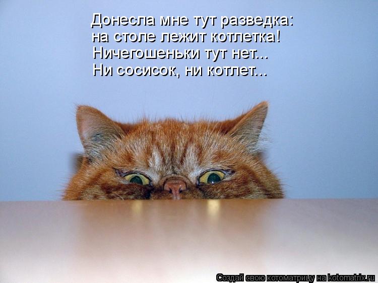 Котоматрица: Донесла мне тут разведка: на столе лежит котлетка! Ничегошеньки тут нет... Ни сосисок, ни котлет...