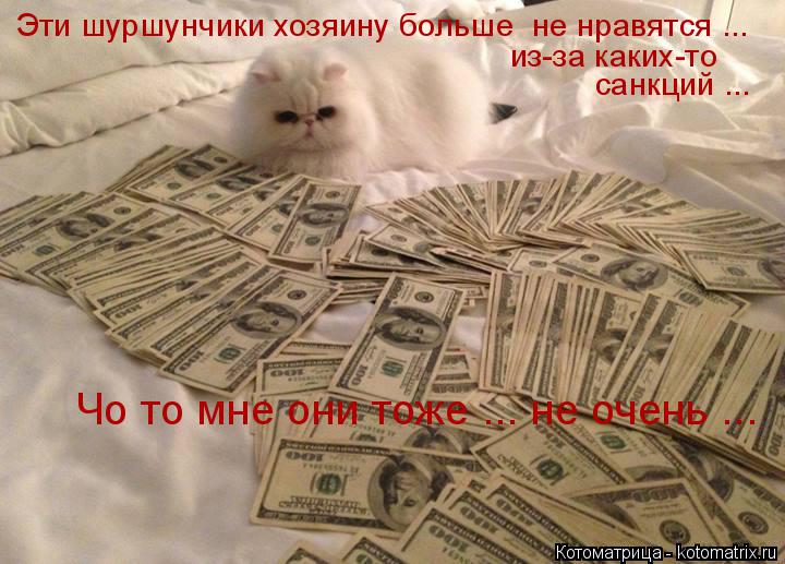Эти шуршунчики хозяину больше не нравятся ... из-за каких-то санкций ... Чо то мне они тоже ... не о... Котоматрица: Эти шуршунчики хозяину больше не нравятся ... из-за каких-то санкций ... Чо то мне они тоже ... не очень ...