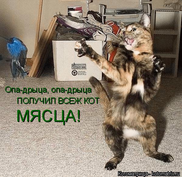 Котоматрица: Опа-дрыца, опа-дрыца ПОЛУЧИЛ ВСЕЖ КОТ МЯСЦА!