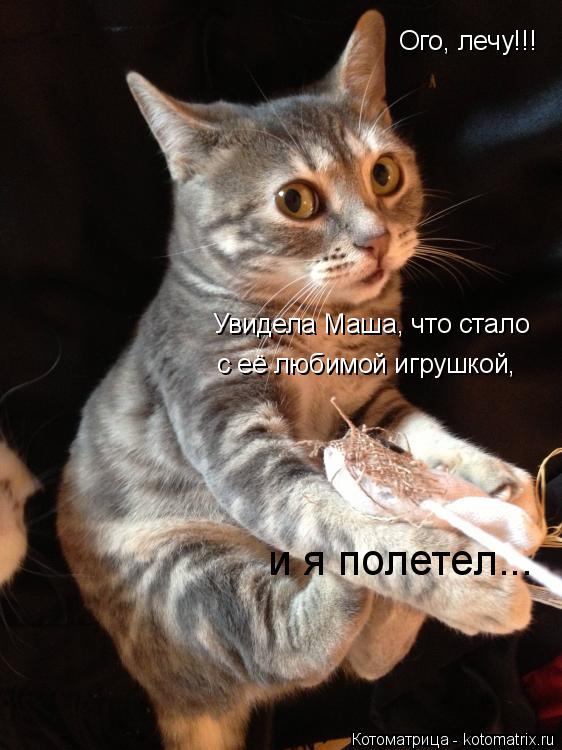 Котоматрица: Ого, лечу!!! Увидела Маша, что стало  с её любимой игрушкой, и я полетел...