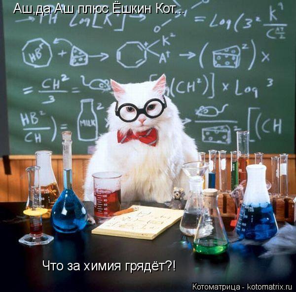 Котоматрица: Аш,да Аш плюс Ёшкин Кот... Что за химия грядёт?!