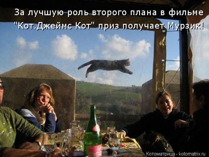 За лучшую роль второго плана в фильме "Кот.Джеймс Кот" приз получает Мурзик!... Котоматрица: За лучшую роль второго плана в фильме "Кот.Джеймс Кот" приз получает Мурзик!
