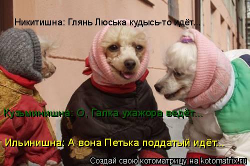 Котоматрица: Никитишна: Глянь Люська кудысь-то идёт... Кузьминишна: О, Галка ухажора ведёт... Ильинишна: А вона Петька поддатый идёт...