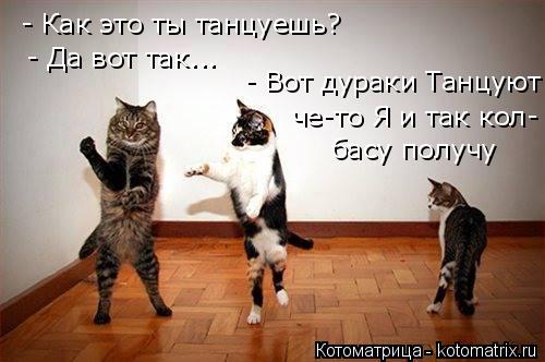- Как это ты танцуешь? - Да вот так... - Вот дураки Танцуют че-то Я и так кол- ... Котоматрица: - Как это ты танцуешь? - Да вот так... - Вот дураки Танцуют че-то Я и так кол- басу получу