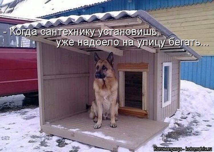 Котоматрица: - Когда сантехнику установишь,  уже надоело на улицу бегать...