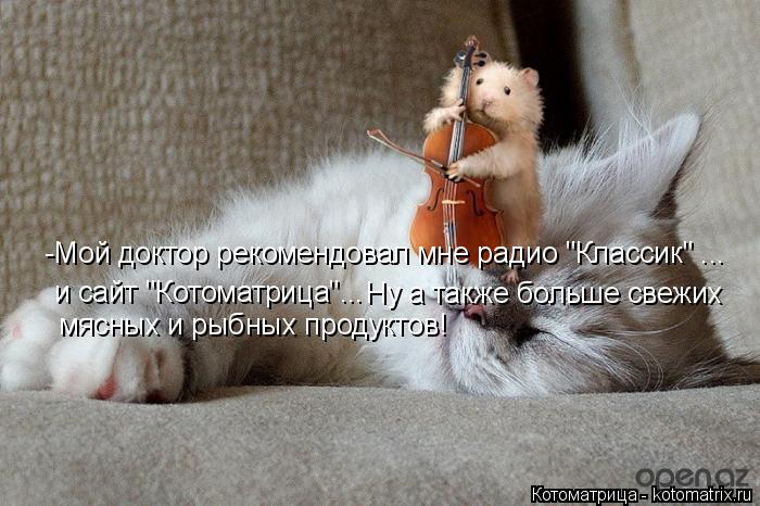 -Мой доктор рекомендовал мне радио "Классик" ... и сайт "Котоматрица"... Ну а также больше свежих мяс... Котоматрица: -Мой доктор рекомендовал мне радио "Классик" ... и сайт "Котоматрица"... Ну а также больше свежих мясных и рыбных продуктов!