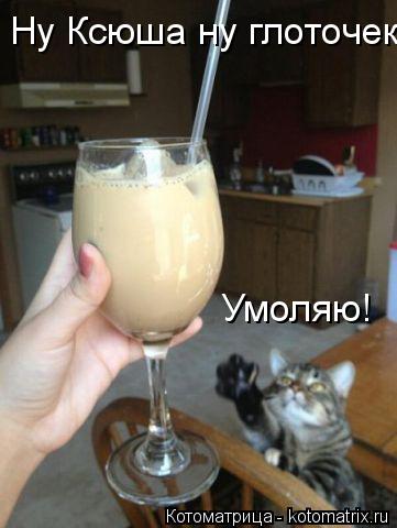 Котоматрица: Ну Ксюша ну глоточек! Умоляю!