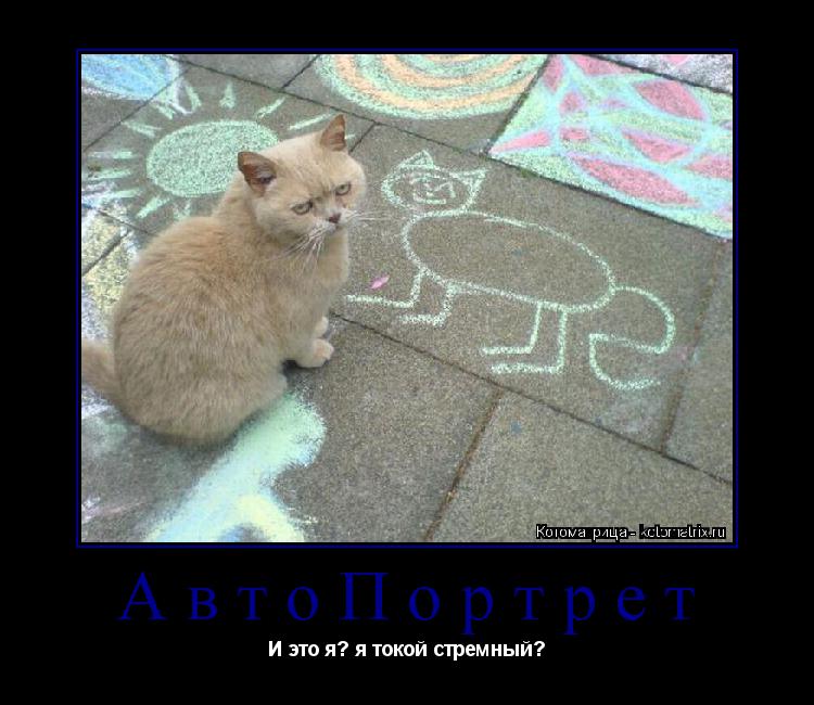 Котоматрица: АвтоПортрет И это я? я токой стремный?