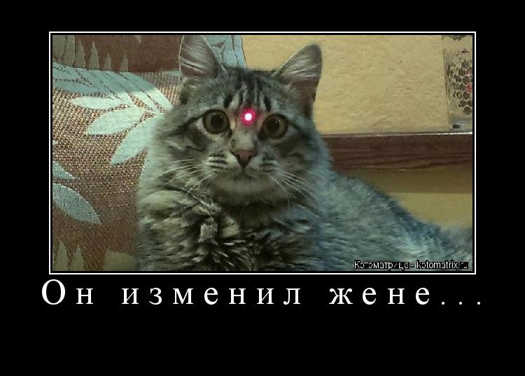 Котоматрица: Он изменил жене... 