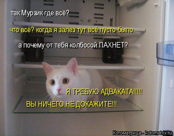 Котоматрица: так Мурзик где всё? что всё? когда я залез тут всё пусто было а почему от тебя колбосой ПАХНЕТ? Я ТРЕБУЮ АДВАКАТА!!!!! ВЫ НИЧЕГО НЕ ДОКАЖИТЕ!!!