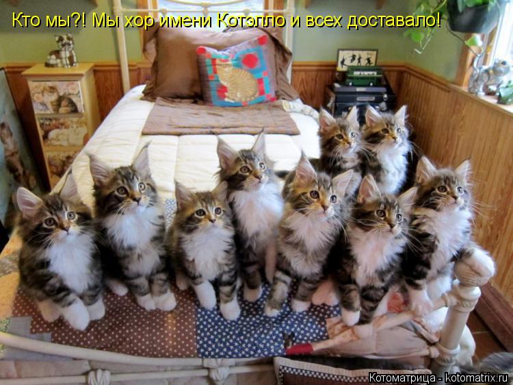 Котоматрица: Кто мы?! Мы хор имени Котэлло и всех доставало!