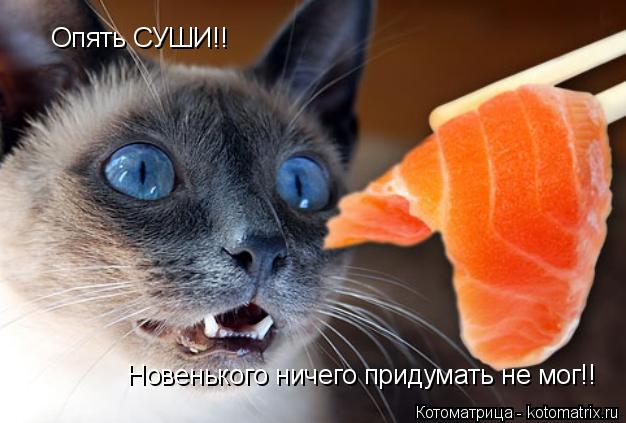 Котоматрица: Опять СУШИ!! Новенького ничего придумать не мог!!