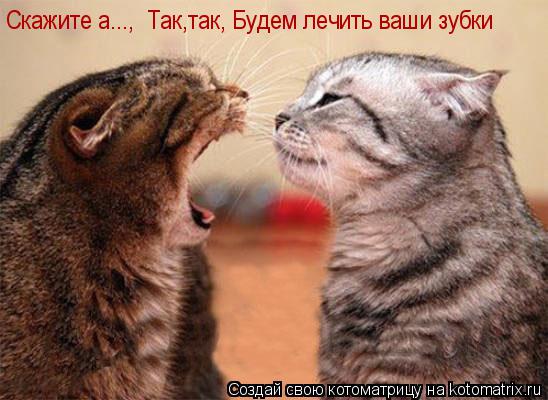 Котоматрица: Скажите а...,  Так,так, Будем лечить ваши зубки