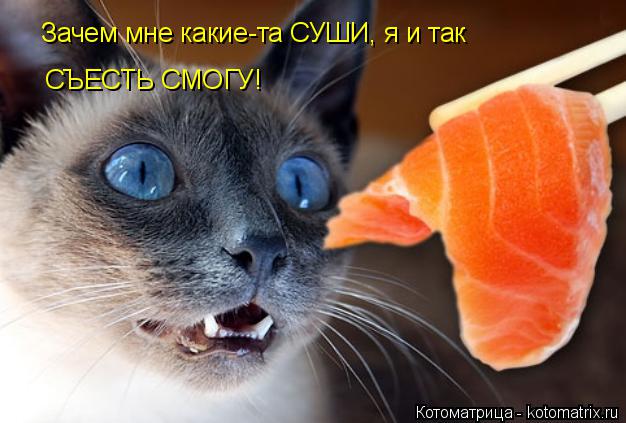 Котоматрица: Зачем мне какие-та СУШИ, я и так СЪЕСТЬ СМОГУ!