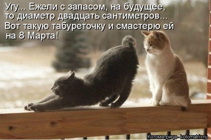 Котоматрица: Угу... Ежели с запасом, на будущее,  то диаметр двадцать сантиметров... Вот такую табуреточку и смастерю ей на 8 Марта!