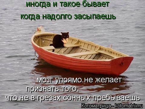 Котоматрица: мозг упрямо не желает иногда и такое бывает признать того,  что не в грезах сонных пребываешь когда надолго засыпаешь