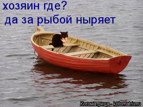 Котоматрица: хозяин где? да за рыбой ныряет