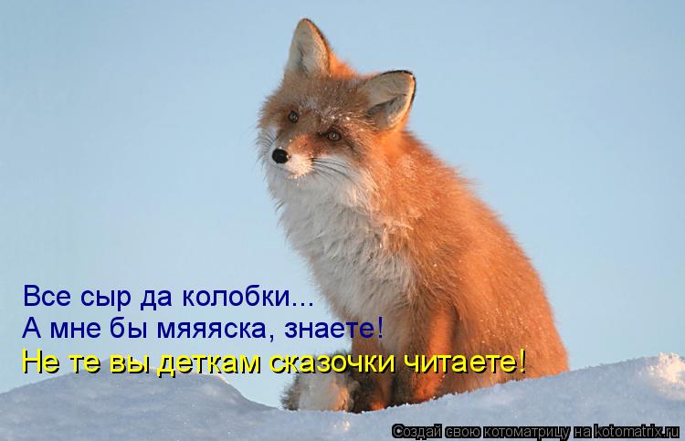 Котоматрица: Все сыр да колобки... А мне бы мяяяска, знаете! Не те вы деткам сказочки читаете!