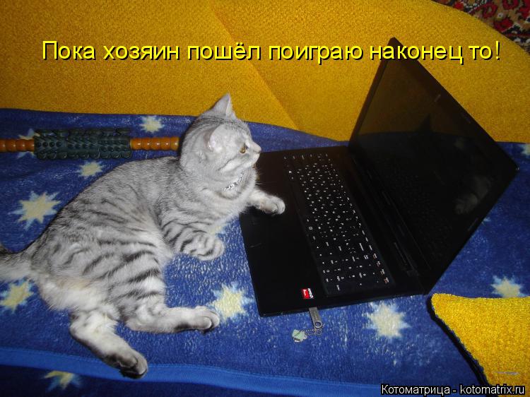 Котоматрица: Пока хозяин пошёл поиграю наконец то!