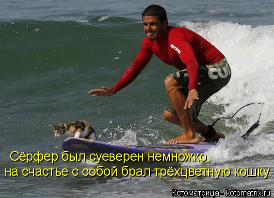 Сёрфер был суеверен немножко, на счастье с собой брал трёхцветную кошку.... Котоматрица: Сёрфер был суеверен немножко, на счастье с собой брал трёхцветную кошку.