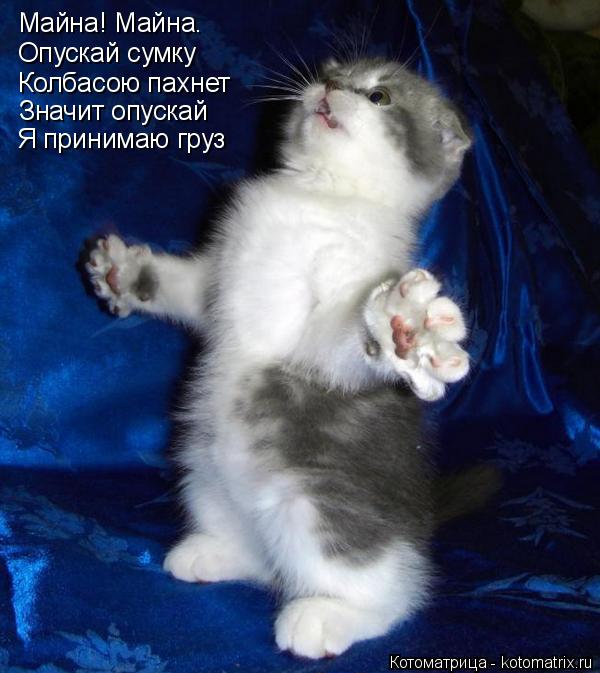 Майна! Майна. Опускай сумку Значит опускай Колбасою пахнет Я принимаю груз... Котоматрица: Майна! Майна. Опускай сумку Значит опускай Колбасою пахнет Я принимаю груз