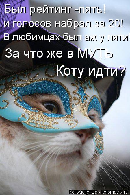 Котоматрица: Был рейтинг -пять! и голосов набрал за 20! В любимцах был аж у пяти! За что же в МУТЬ Коту идти?