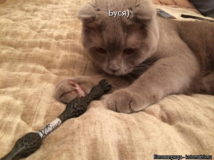 Котоматрица: Буся)