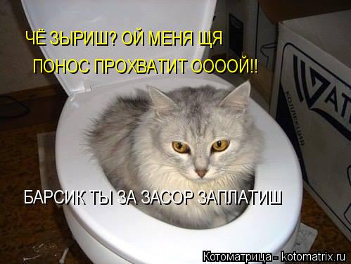 Котоматрица: ЧЁ ЗЫРИШ? ОЙ МЕНЯ ЩЯ ПОНОС ПРОХВАТИТ ООООЙ!! БАРСИК ТЫ ЗА ЗАСОР ЗАПЛАТИШ