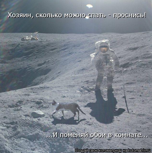 Хозяин, сколько можно спать - проснись! ...И поменяй обои в комнате...... Котоматрица: Хозяин, сколько можно спать - проснись! ...И поменяй обои в комнате...