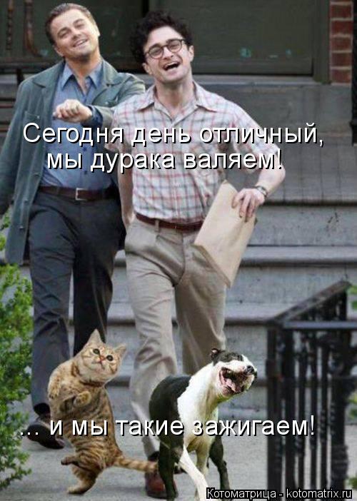 мы дурака валяем! ... и мы такие зажигаем! Сегодня день отличный,... Котоматрица: мы дурака валяем! ... и мы такие зажигаем! Сегодня день отличный,