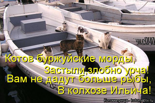 Котоматрица: В колхозе Ильича! Вам не дадут больше рыбы, Котов буржуйские морды, Застыли,злобно урча!