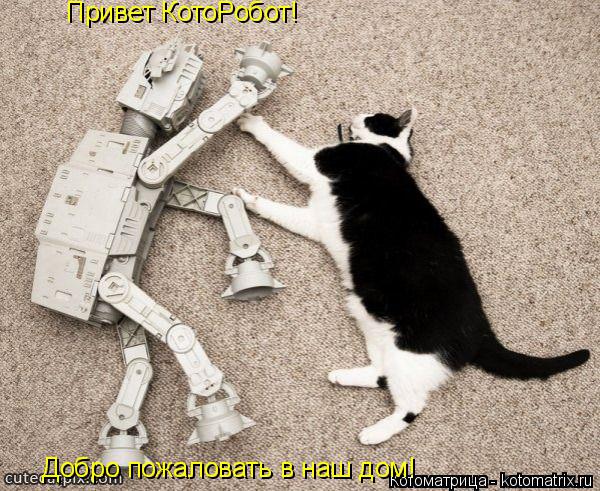 Котоматрица: Привет КотоРобот! Добро пожаловать в наш дом!