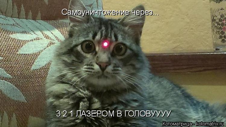 Котоматрица: Самоуничтожение через... 3 2 1 ЛАЗЕРОМ В ГОЛОВУУУУ