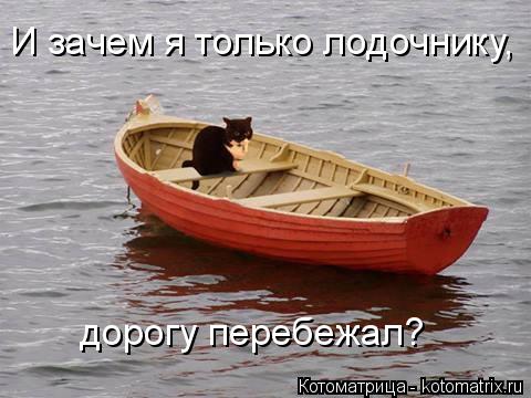 И зачем я только лодочнику, дорогу перебежал?... Котоматрица: И зачем я только лодочнику, дорогу перебежал?
