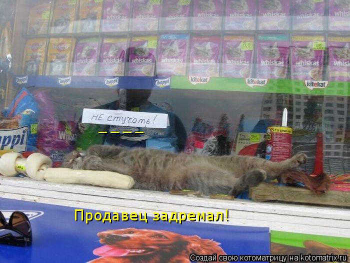 Котоматрица: Продавец задремал! _ _ _ _