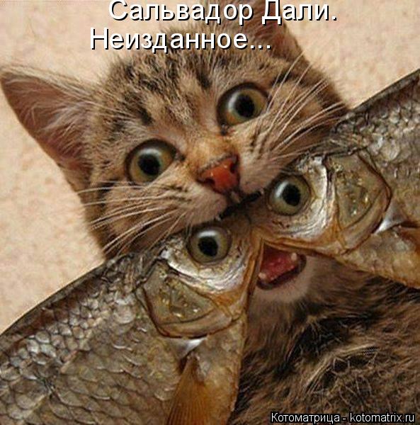 Котоматрица: Сальвадор Дали. Неизданное...