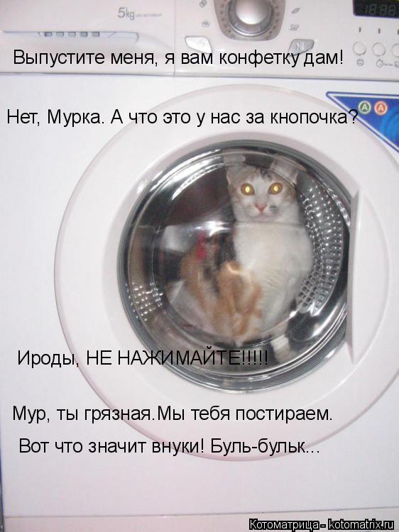 Котоматрица: Выпустите меня, я вам конфетку дам! Нет, Мурка. А что это у нас за кнопочка? Ироды, НЕ НАЖИМАЙТЕ!!!!! Вот что значит внуки! Буль-бульк... Мур, ты гр