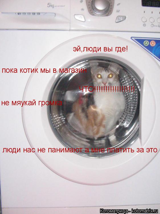 Котоматрица: эй,люди вы где! пока котик мы в магазин ЧТО!!!!!!!!!!!!!!!!!! не мяукай громка люди нас не панимают а мне платить за это