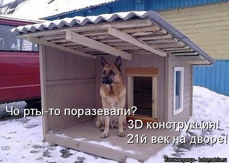 Чо рты-то поразевали? 3D конструкция! 21й век на дворе!... Котоматрица: Чо рты-то поразевали? 3D конструкция! 21й век на дворе!